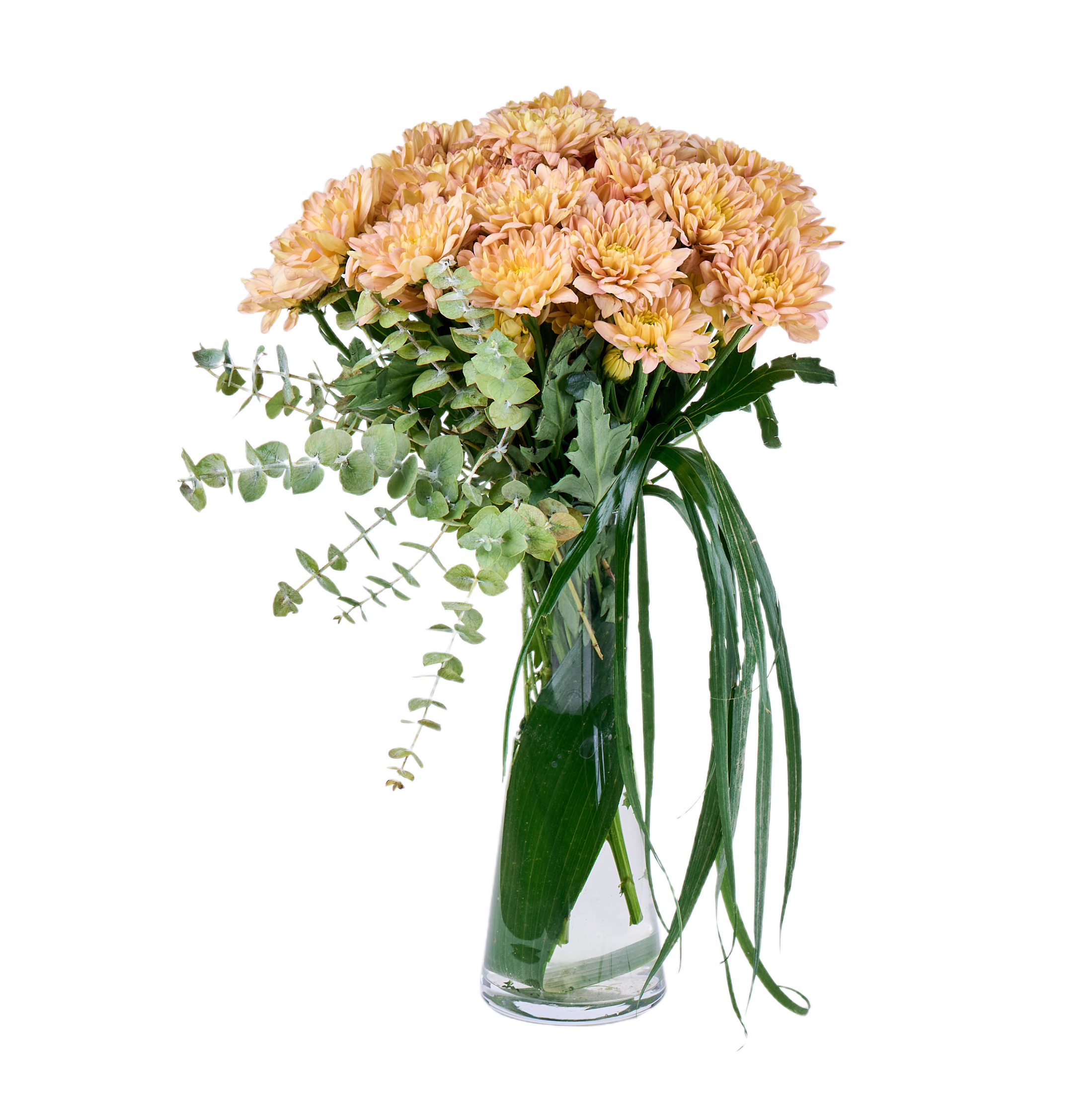 Soft Friend Krizantem - 7