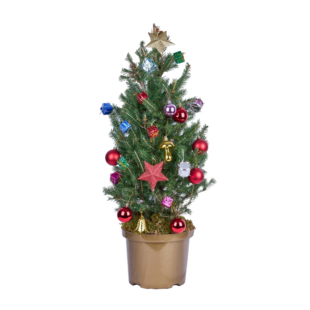 Noel Mini Tree (80 cm)