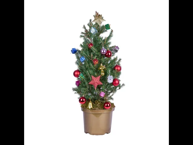 Noel Mini Tree (80 cm)