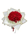 Red Passion - 3