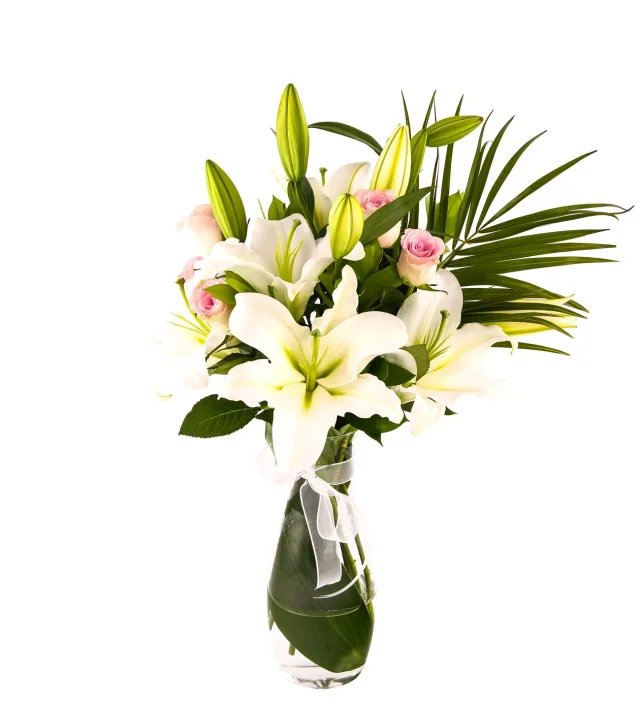 Royal White Lilyum
