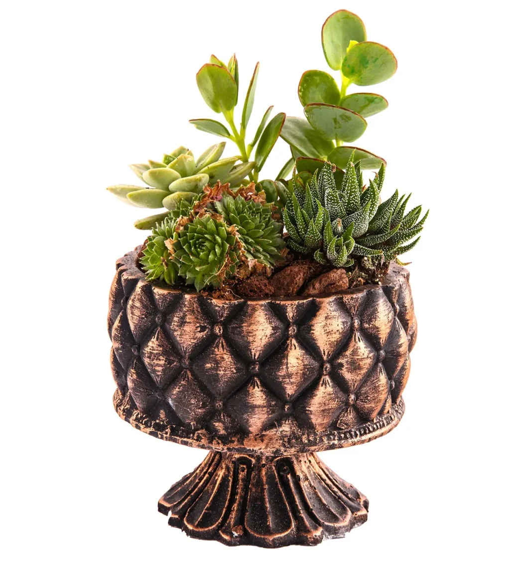 Little Greens Harmony