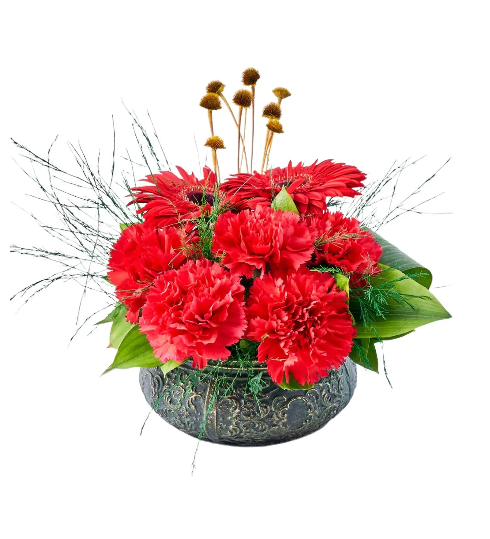 Red and Green Bloom