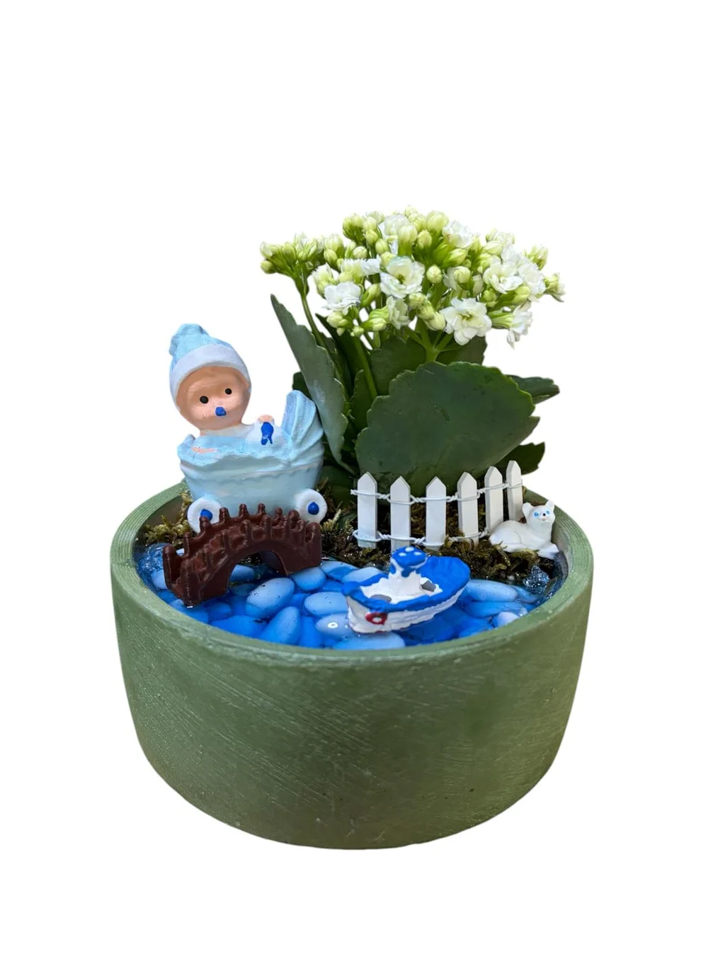 Baby Botanik Blue Teraryum