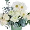Minty White - 2