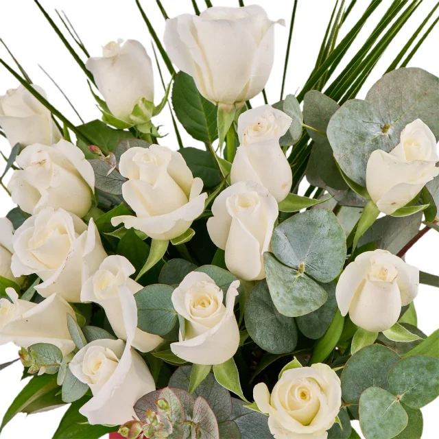 Amour Roses - 2