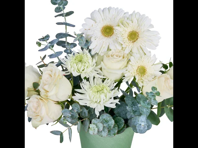 Minty White - 2