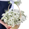 Swan Tale Basket