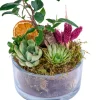 Tiny Green Garden - 3