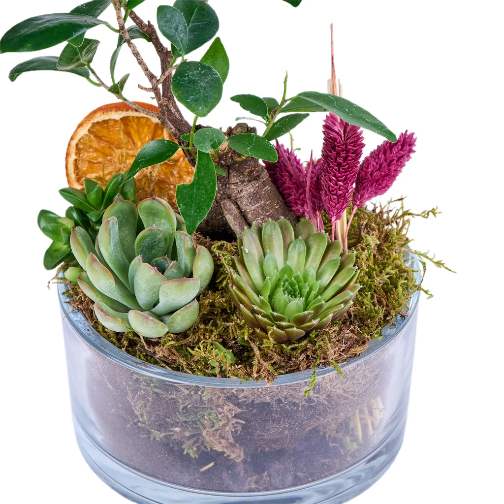 Tiny Green Garden - 4