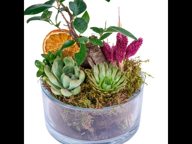 Tiny Green Garden - 3