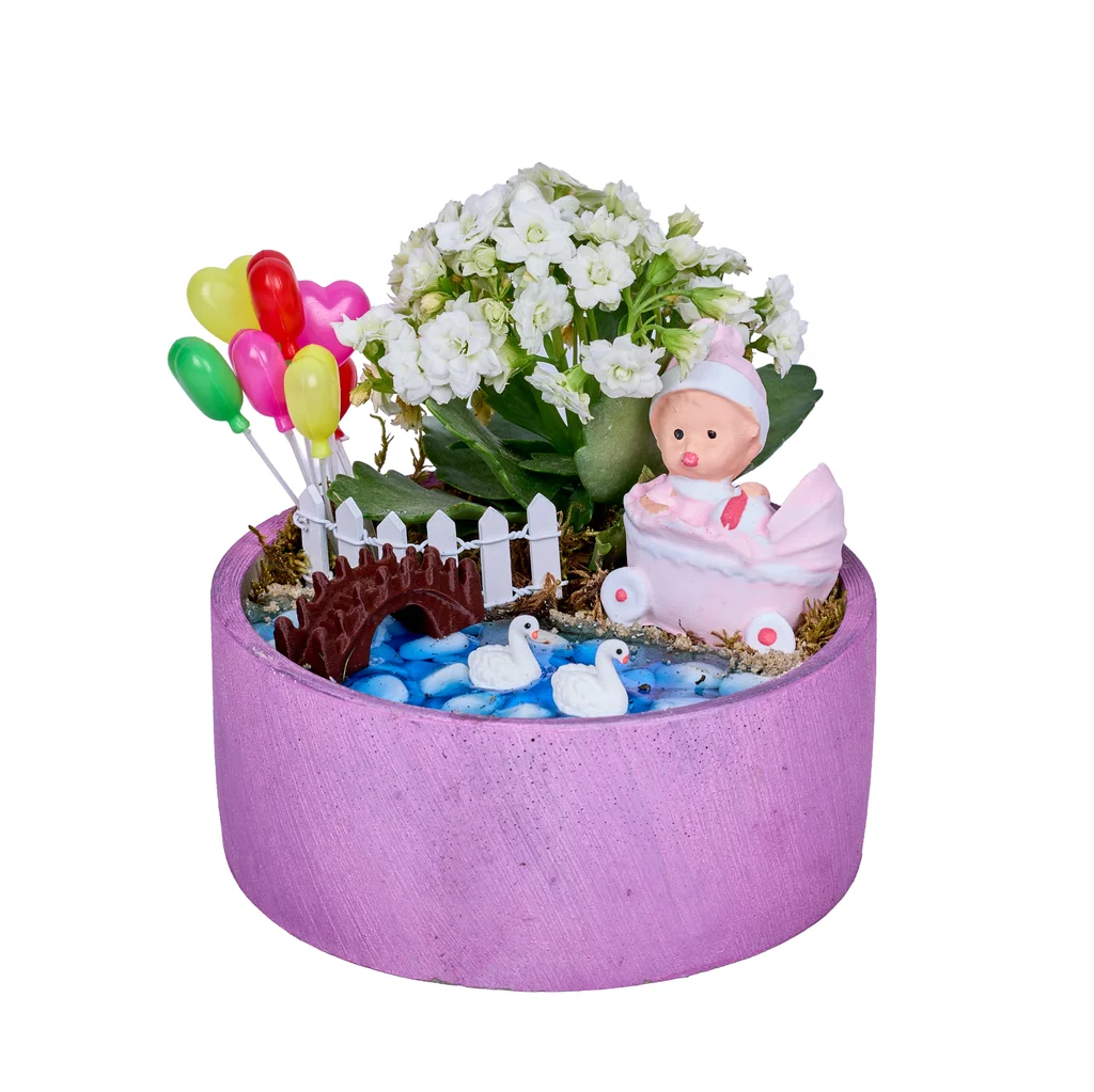Baby Botanik Pink Teraryum