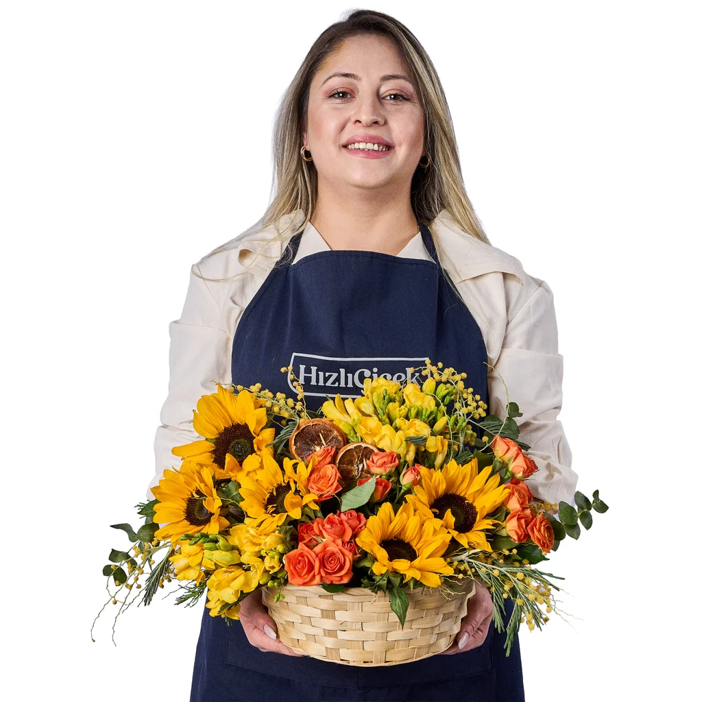 Maison Soleil Basket