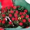 Red Winter Kokina Buketi - 3