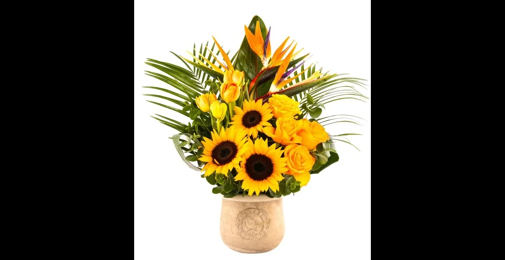 Egzotik Premium Summer