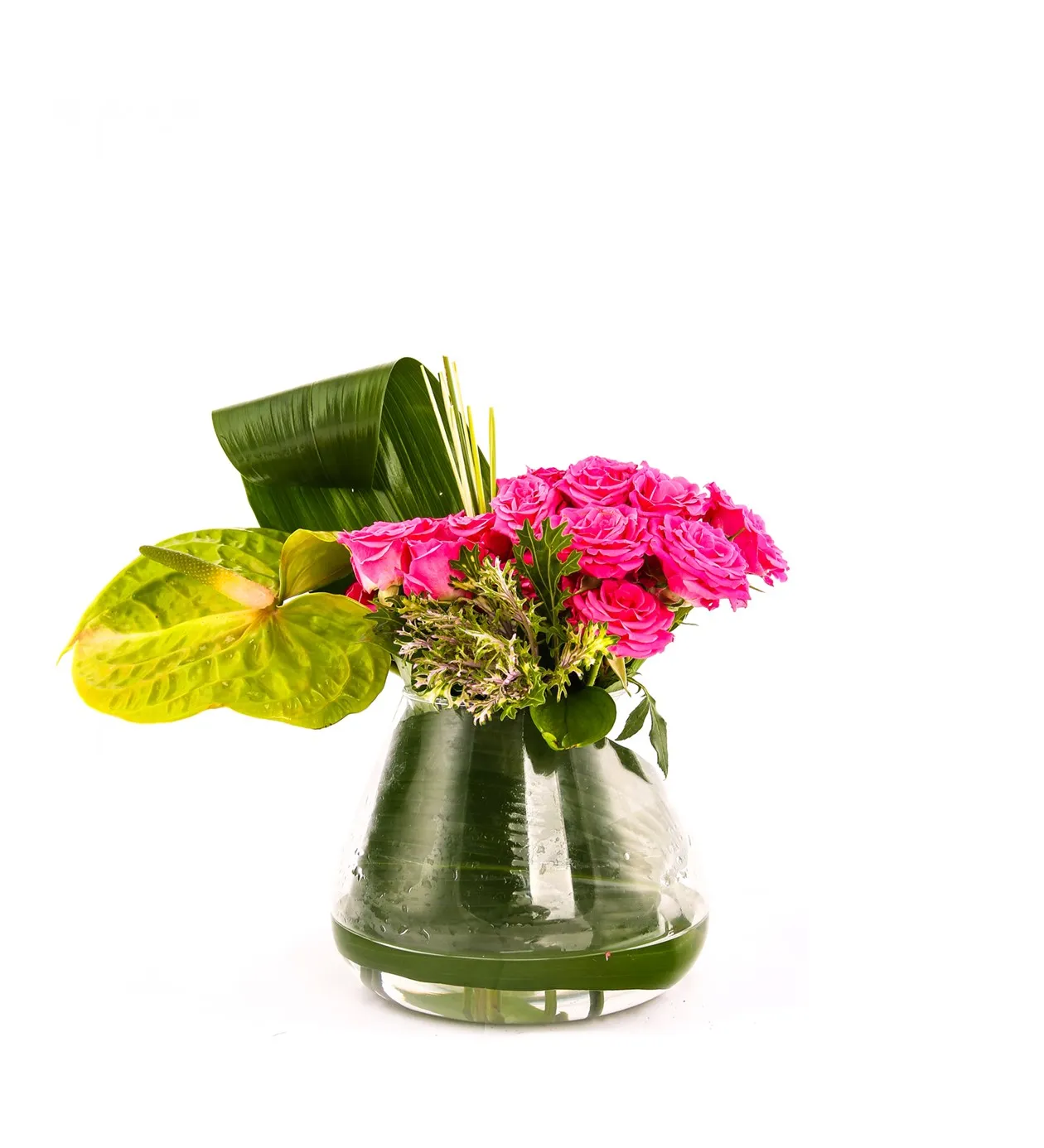 Premium Dream Rose - 7