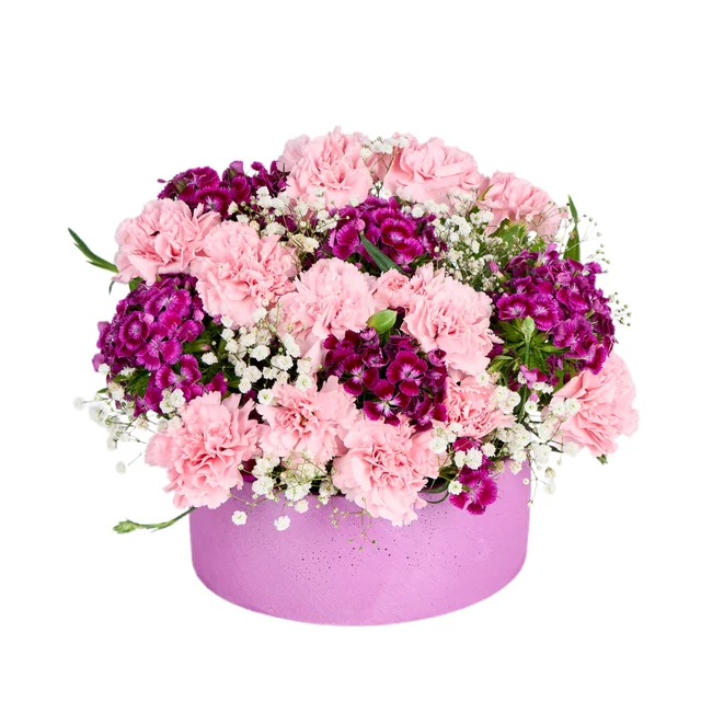 Fuchsia Berry Blend