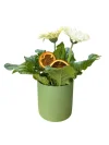 Beyaz Saksı Gerbera