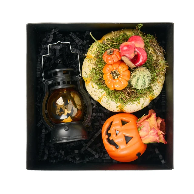 Little Witch Box