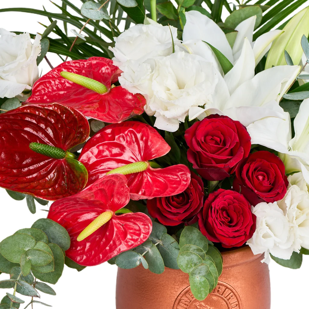 Magic Gift Harmony - 4