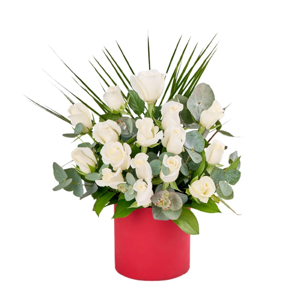 Amour Roses