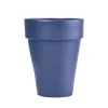 Konik Saksı