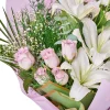 Pure Lilac - 6