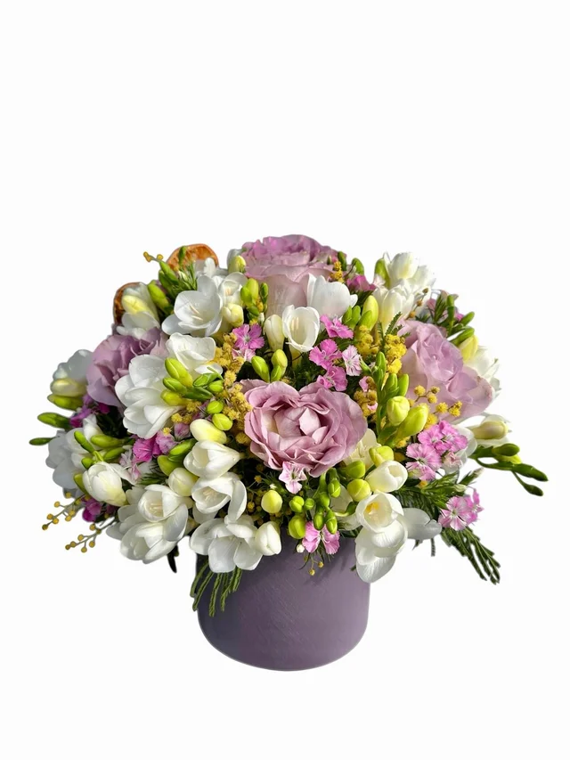 Lilac Symphony