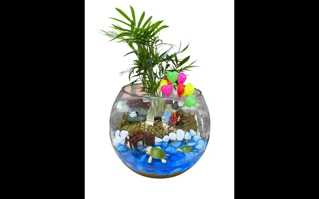 Turtle Island Teraryum