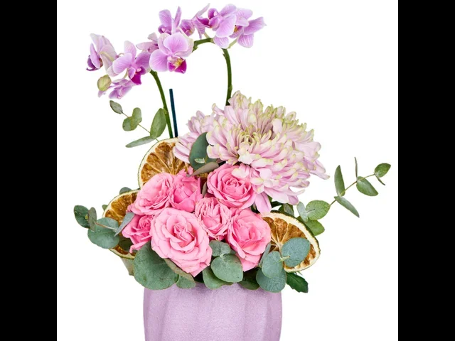 Lila Dream Orchid - 2