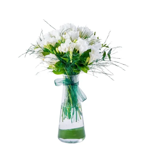 Vazoda Frezya Çiçeği