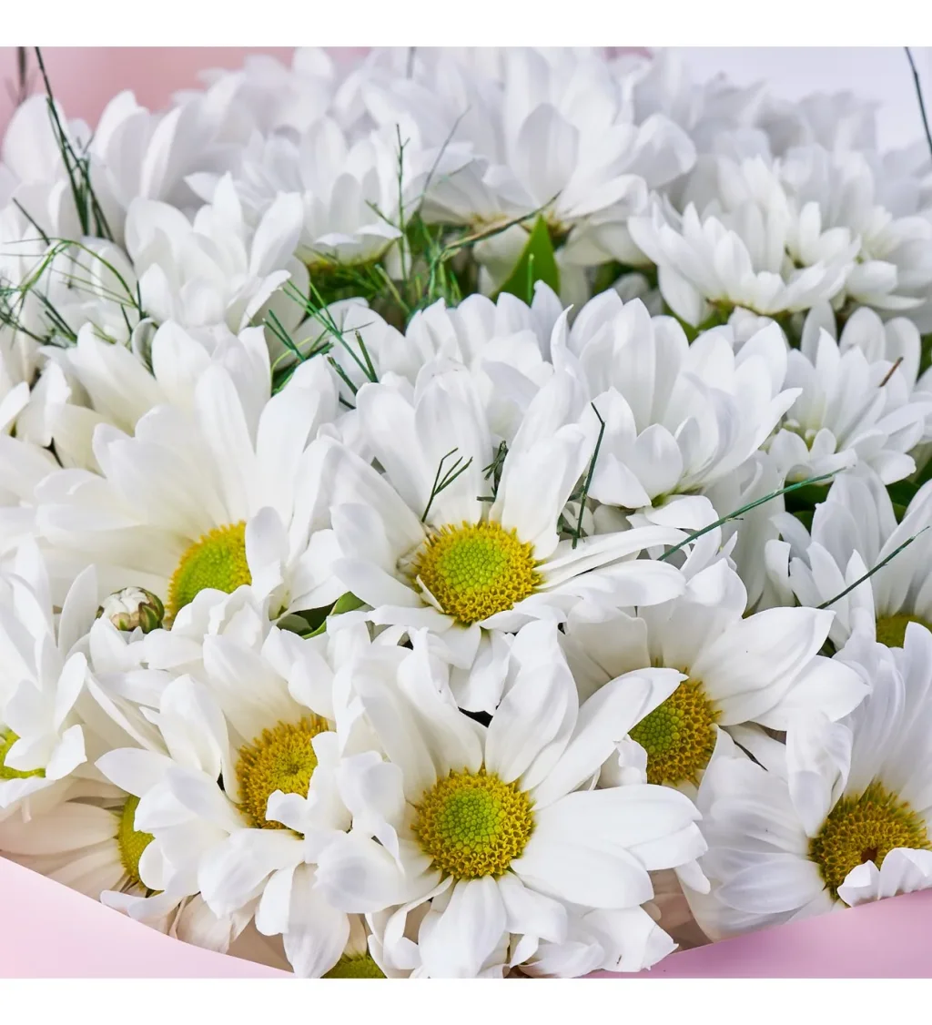 Beyaz Papatya Buketi - 4