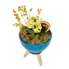 Vazoda Sarı Kalanchoe - 2