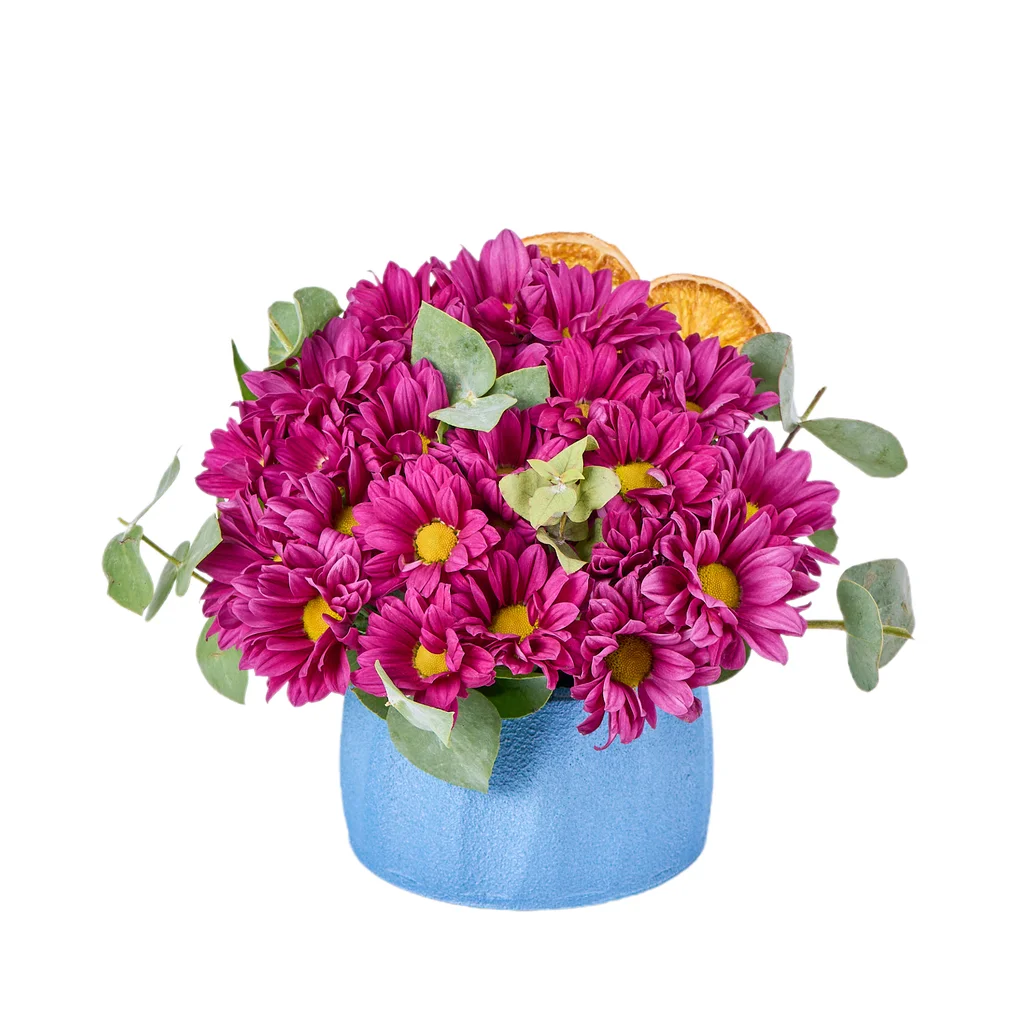 Midnight Bloom