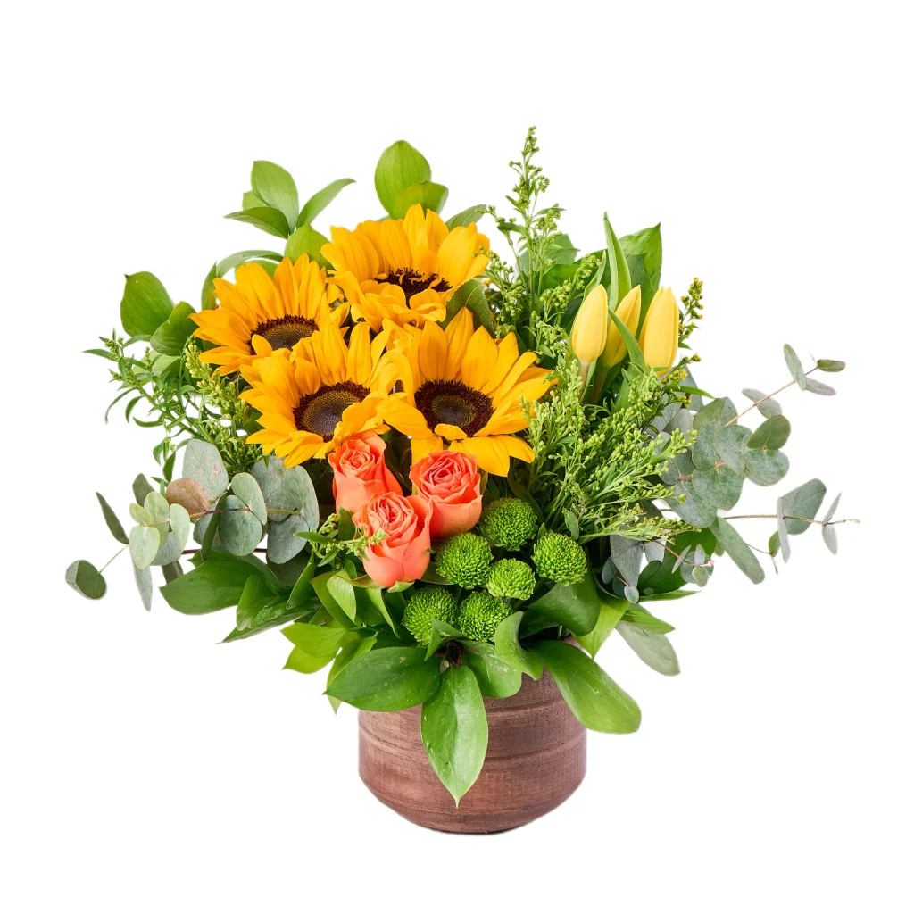 My Sunflower Ayçiçekleri - 4