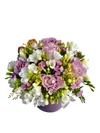 Lilac Symphony - 2