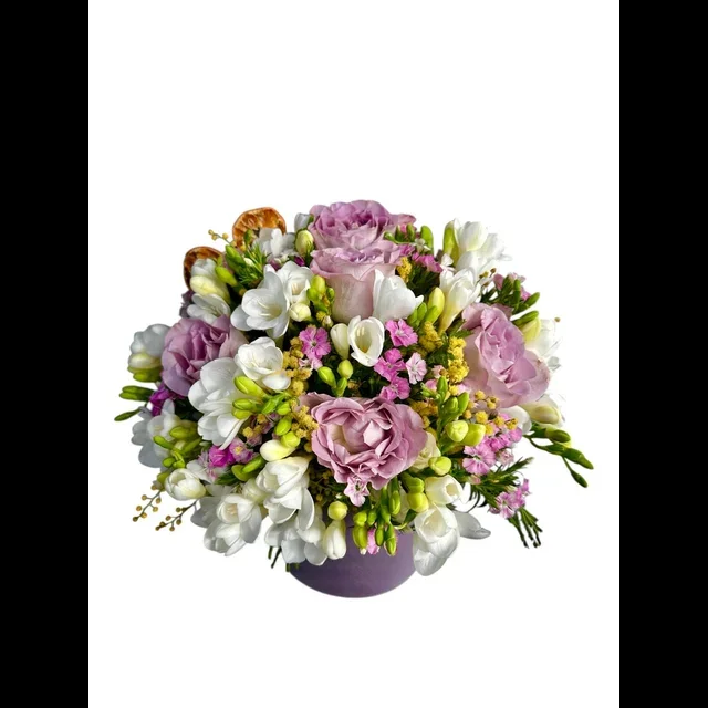 Lilac Symphony - 2
