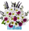 Papatya Melody - 2