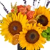 Sun Energy Box - 2