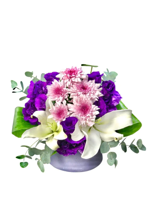 Purple Festive