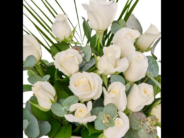 Pearl Roses - 3