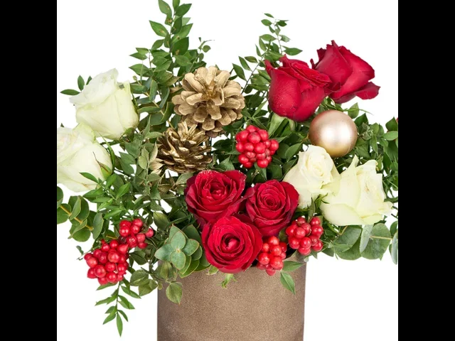 Golden Festive Rose - 2