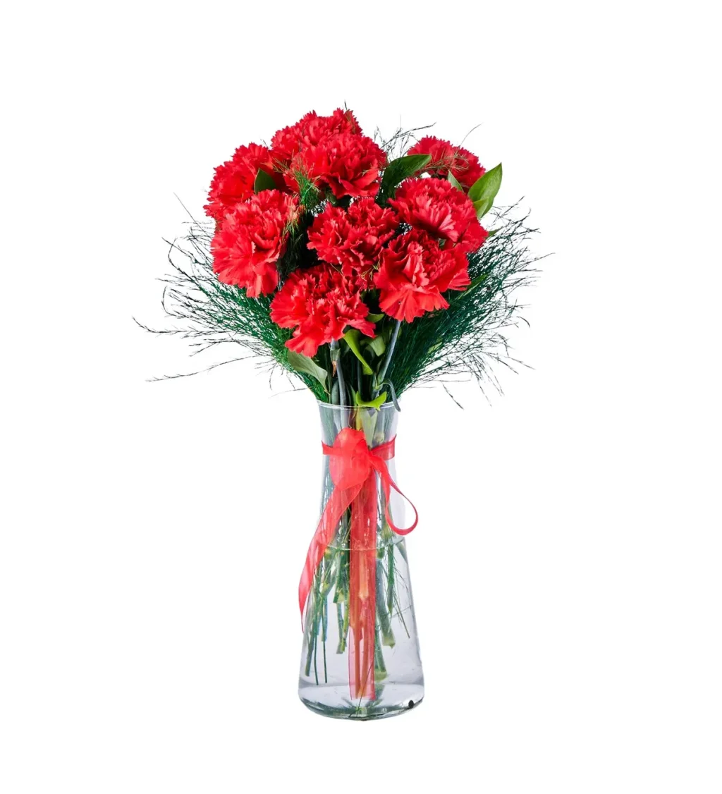 Vazoda Kırmızı Karanfil