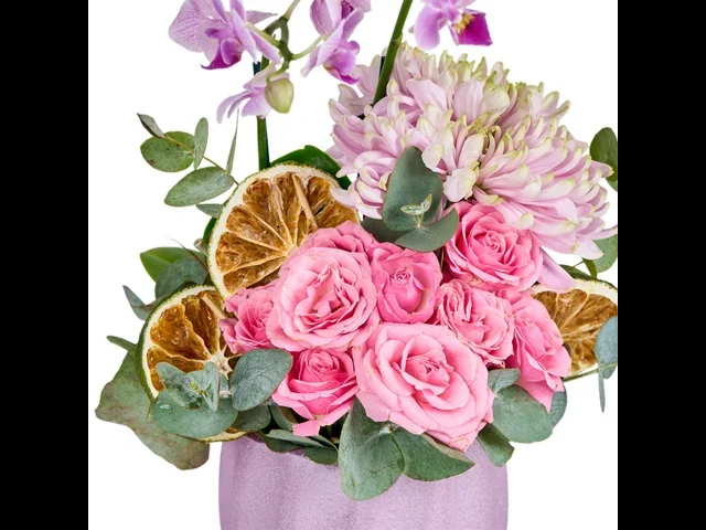 Lila Dream Orchid - 3