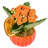 Turuncu Kalanchoe Halloween Aranjmanı - 3