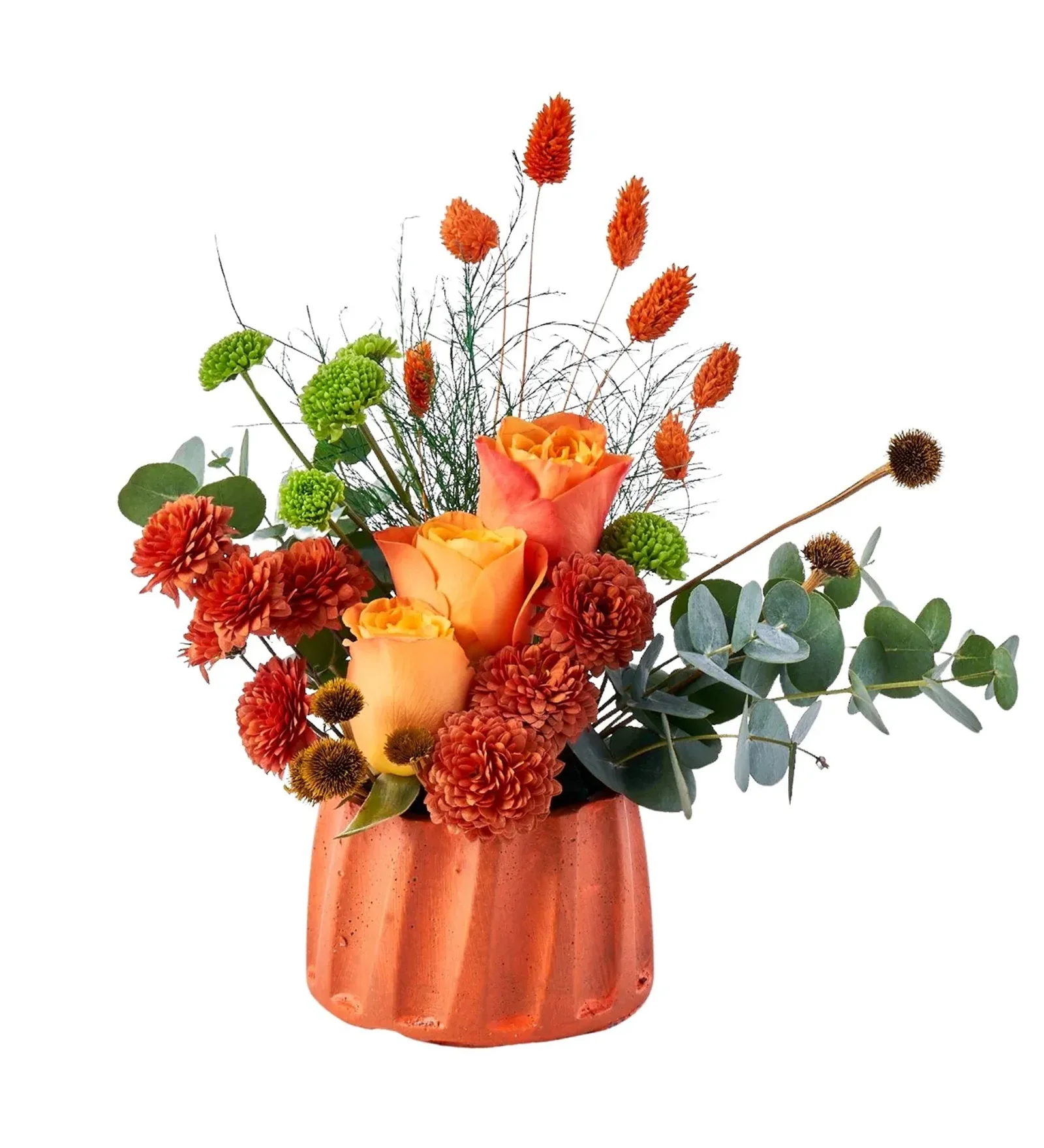 Orange Dream Box