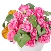 Rosy Cloud - 2
