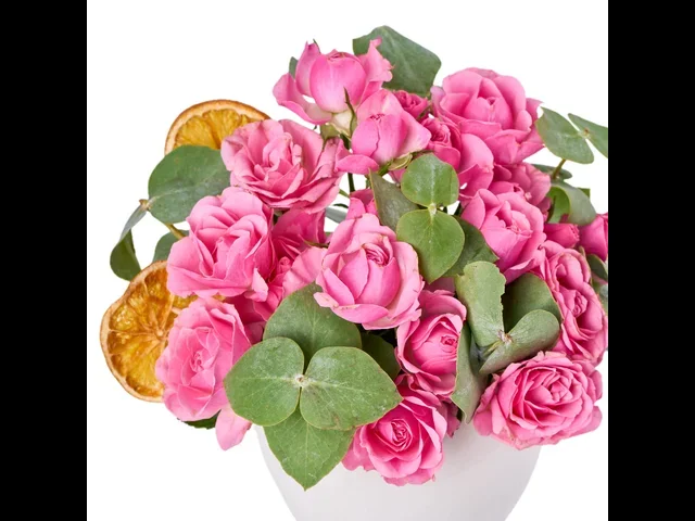 Rosy Cloud - 2