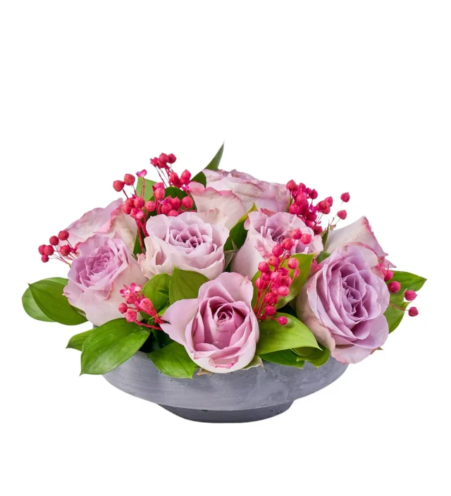 Sweet Lilac