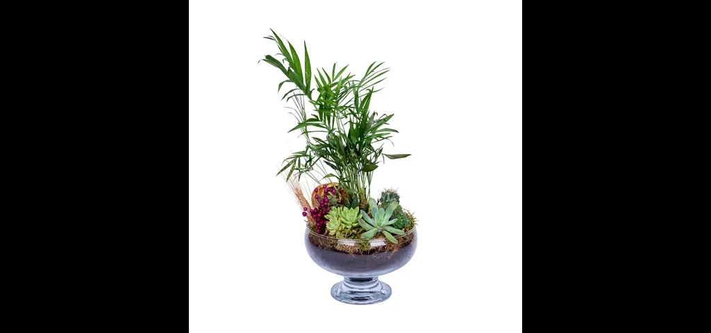 Botanical Haven
